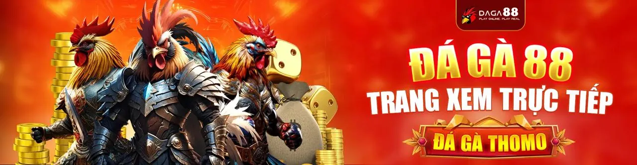 Sân vận động lớn với biểu tượng cá cược thể thao king888